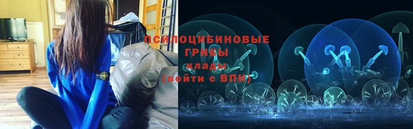 мдпв Медвежьегорск