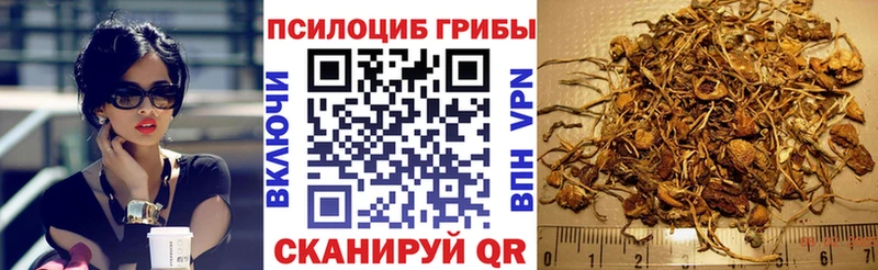 Галлюциногенные грибы GOLDEN TEACHER Томилино
