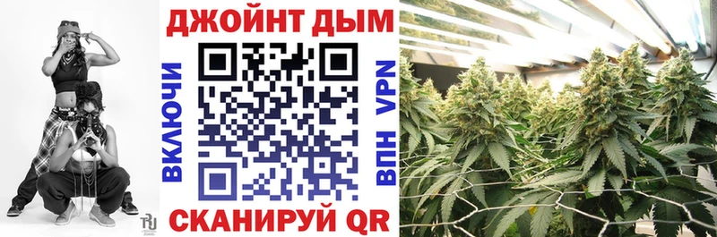 mega как зайти  как найти закладки  Томилино  Канабис сатива 